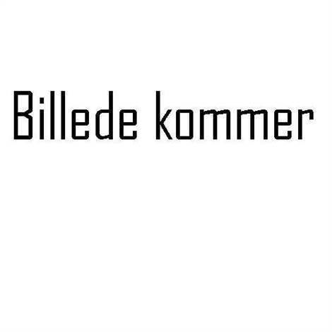 Victron Phoenix Smart IP43 lader 36v 15A (1 udgang)