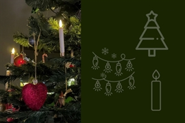 Valg af det perfekte juletræ: typer, lys og pynt