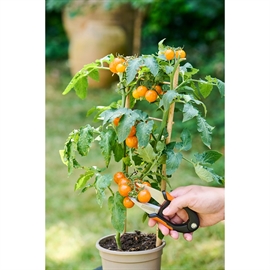 Black+Decker blomstersaks – 15 cm i rustfrit stål, sort/orange