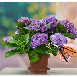 Black+Decker Blomstersaks – 16 cm med sikkerhedslås, sort/orange